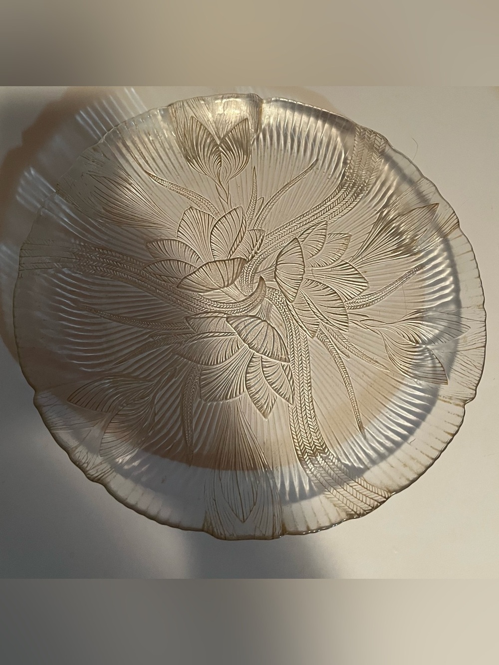 Vintage Arcoroc Canterbury Crocus Glass Dinner Plate 10 3/4”